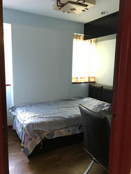 Evergreen Park (D19), Apartment #151235172